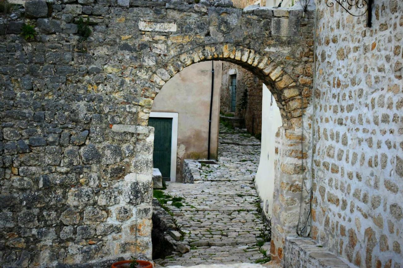 Apartments Carpe Diem Novigrad (Dalmatia) Exterior foto