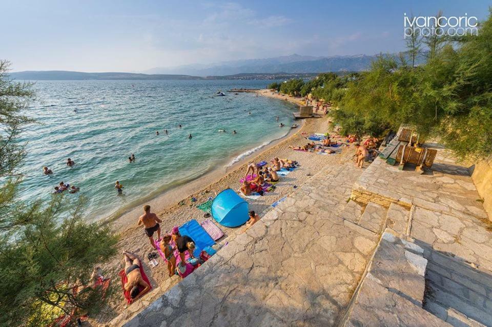 Apartments Carpe Diem Novigrad (Dalmatia) Exterior foto